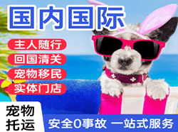 长春航空空运国际宠物托运 【国